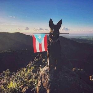 Meet your Posher, Edgardo